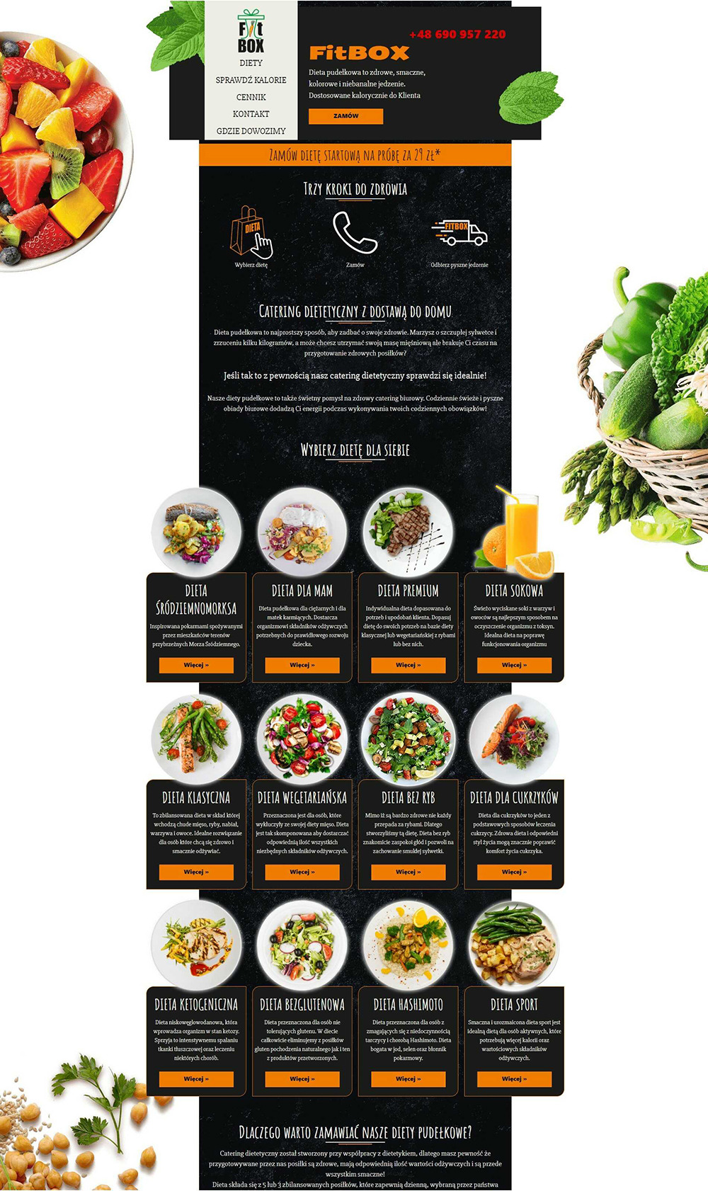 Projekt strony internetowej cateringu dietetycznego FitBox ze Stalowej Woli, responsywny układ, zoptymalizowana pod wyszukiwarki, z opcją zamawiania diet i szybkimi płatnościami online, prezentacja...