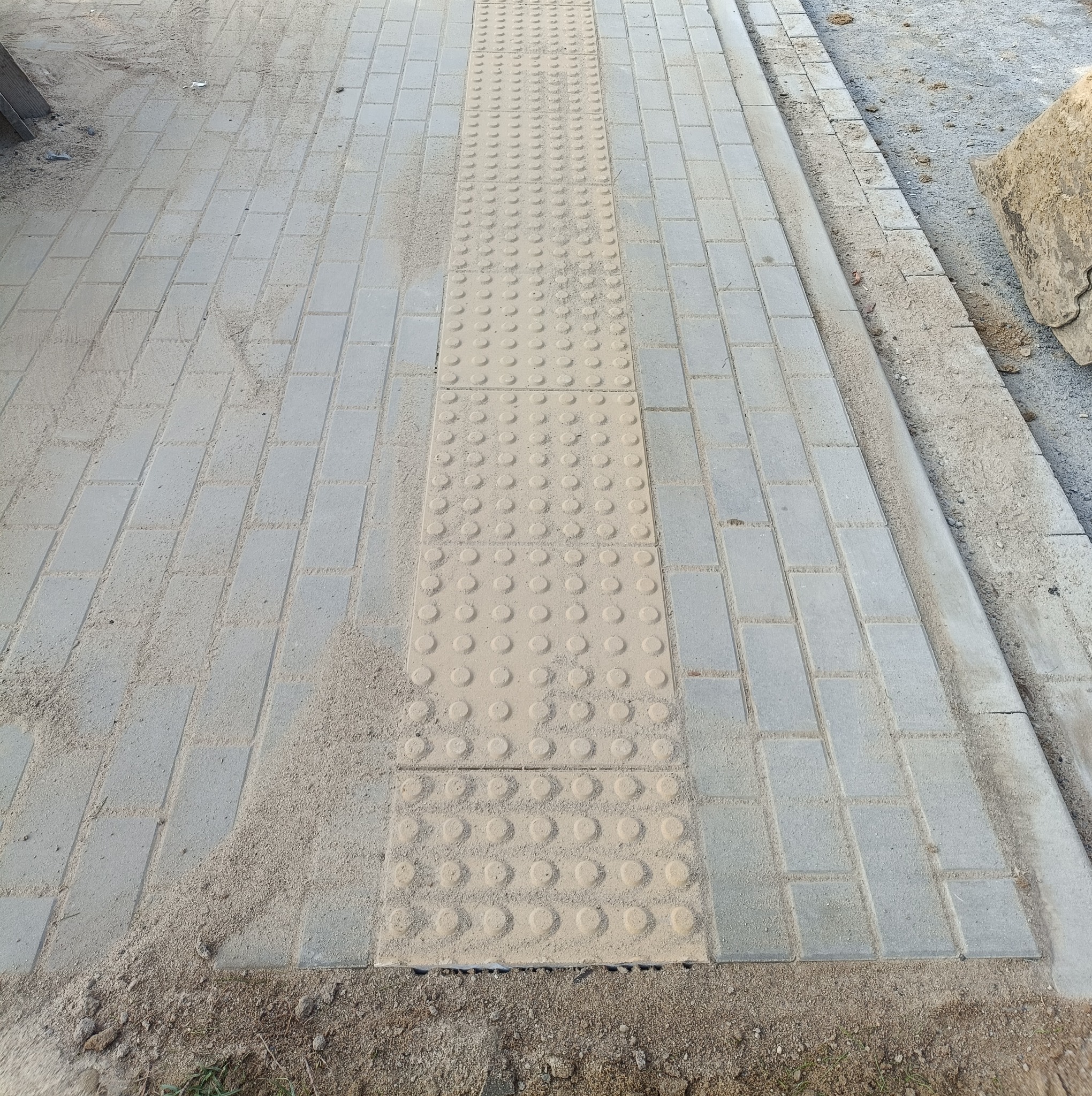 Szara kostka brukowa z centralnym pasem z wypustkami sensorycznymi, pokryta piaskiem, widok z góry.