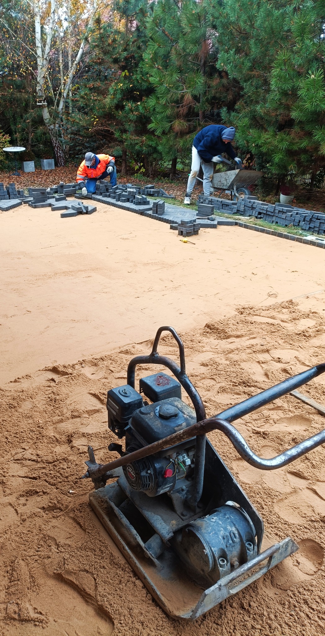 Dwóch pracowników układa kostkę brukową na podsypce piaskowej, z ubijarką w pierwszym planie i taczką w tle, na terenie zielonym z drzewami.