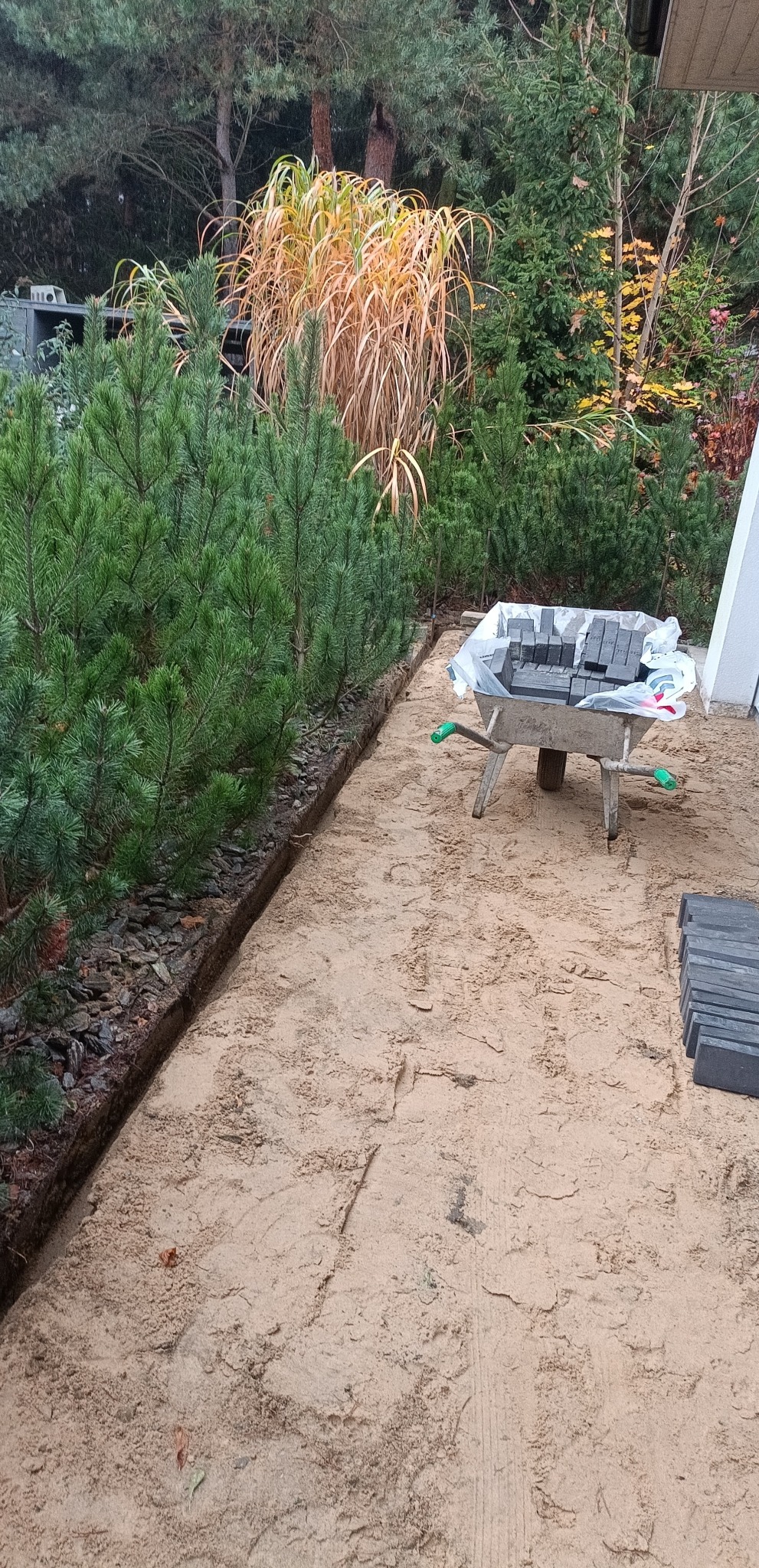 Przygotowany teren pod ścieżkę z wykopanym rowem, obok wózek wypełniony kostką, w tle iglaki i wysoka trawa ozdobna.