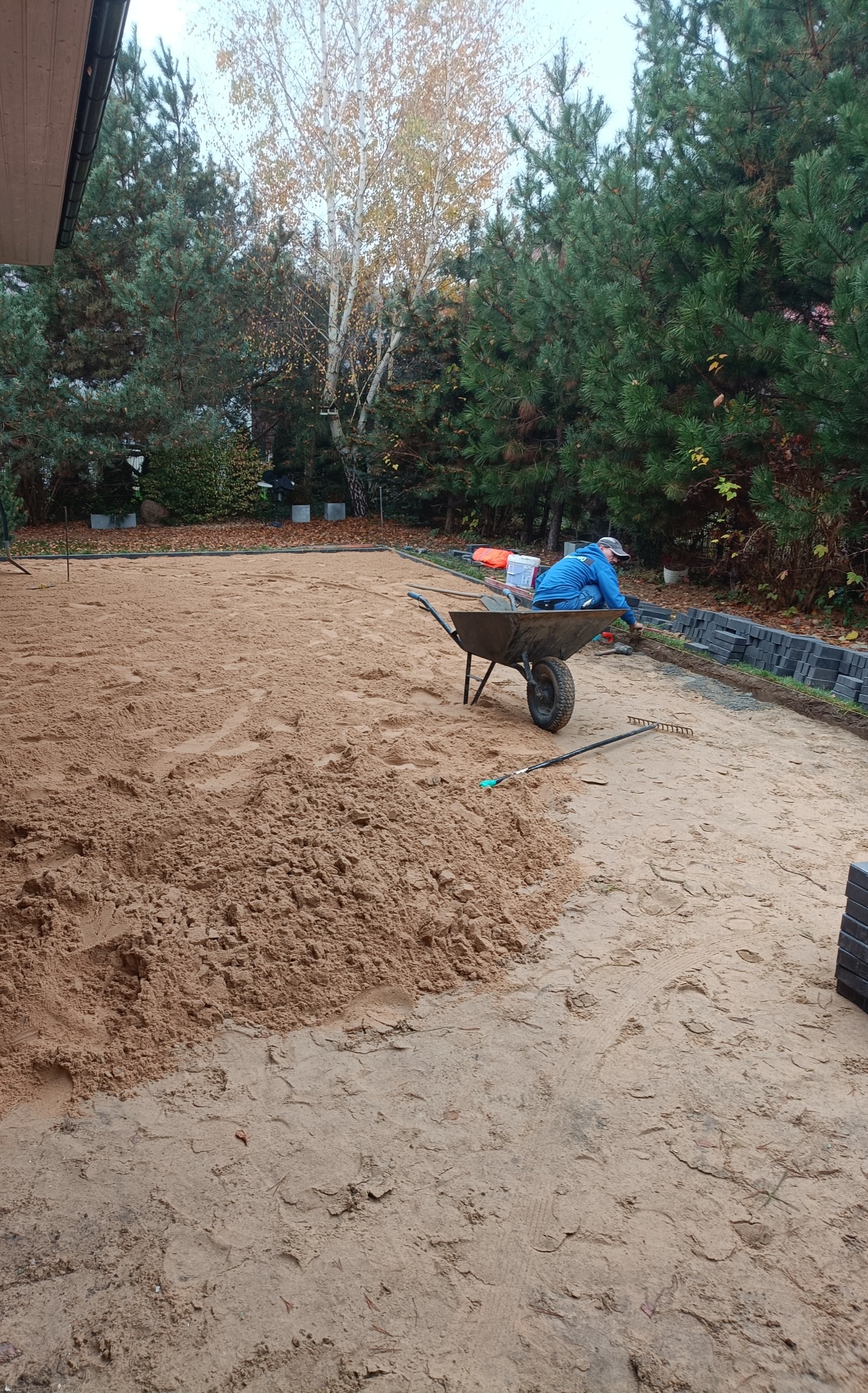 Przygotowanie podłoża pod nawierzchnię: wyrównany piasek, częściowo ułożone obrzeża z kostki, taczka i grabie w ogrodzie z drzewami iglastymi.