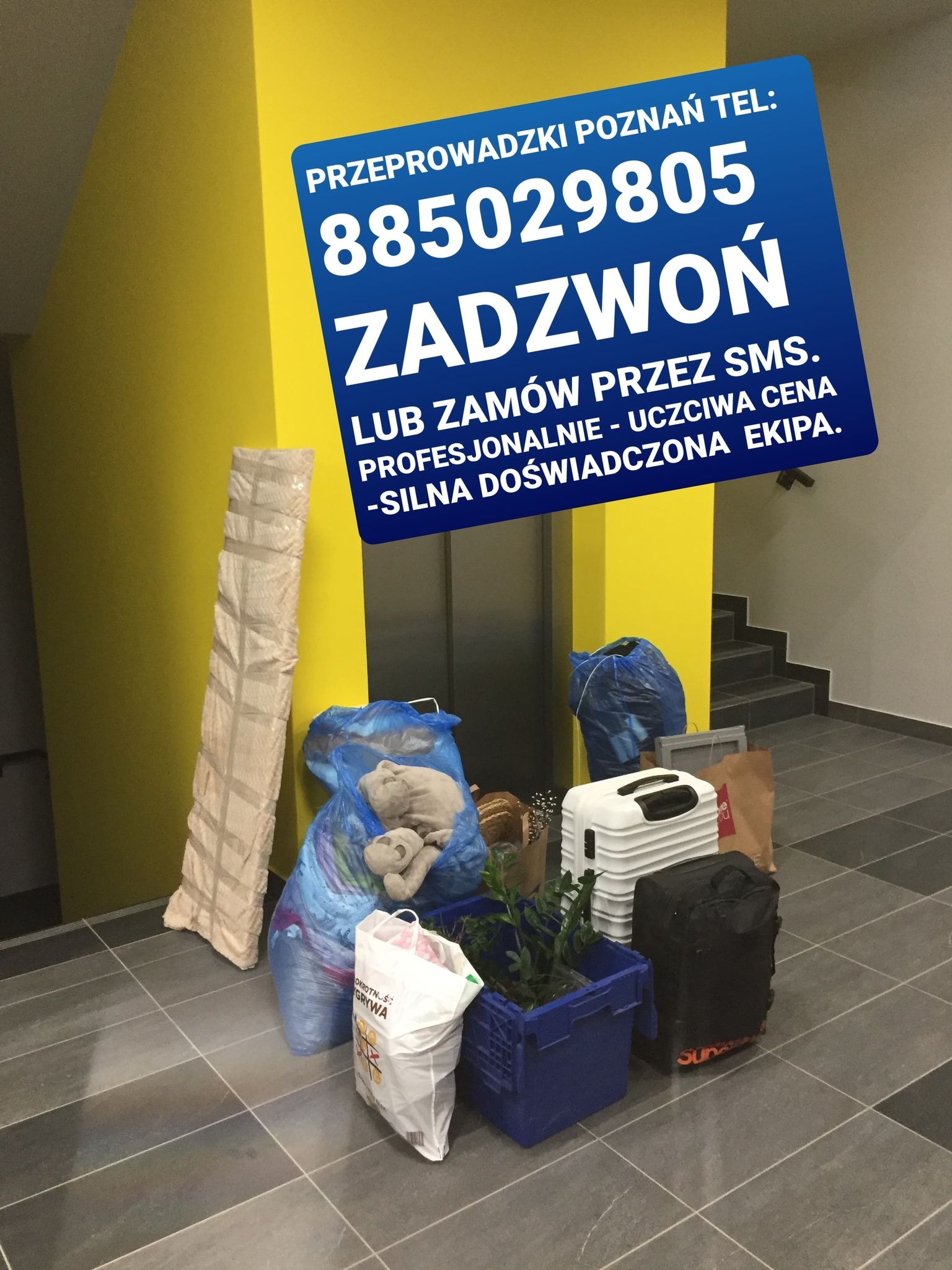 Spakowane przedmioty, w tym torby, walizki i roślina w skrzynce, ustawione w korytarzu przed windą i schodami, obok żółtej ściany z reklamą firmy z Poznania oferującej usługi transportowe.