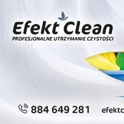 Efekt Clean - Mycie okien w firmie Świecie