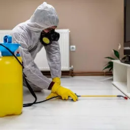 Osoba w kombinezonie ochronnym i masce, w Chełmie, opryskuje podłogę w pomieszczeniu z użyciem żółtego opryskiwacza ciśnieniowego.