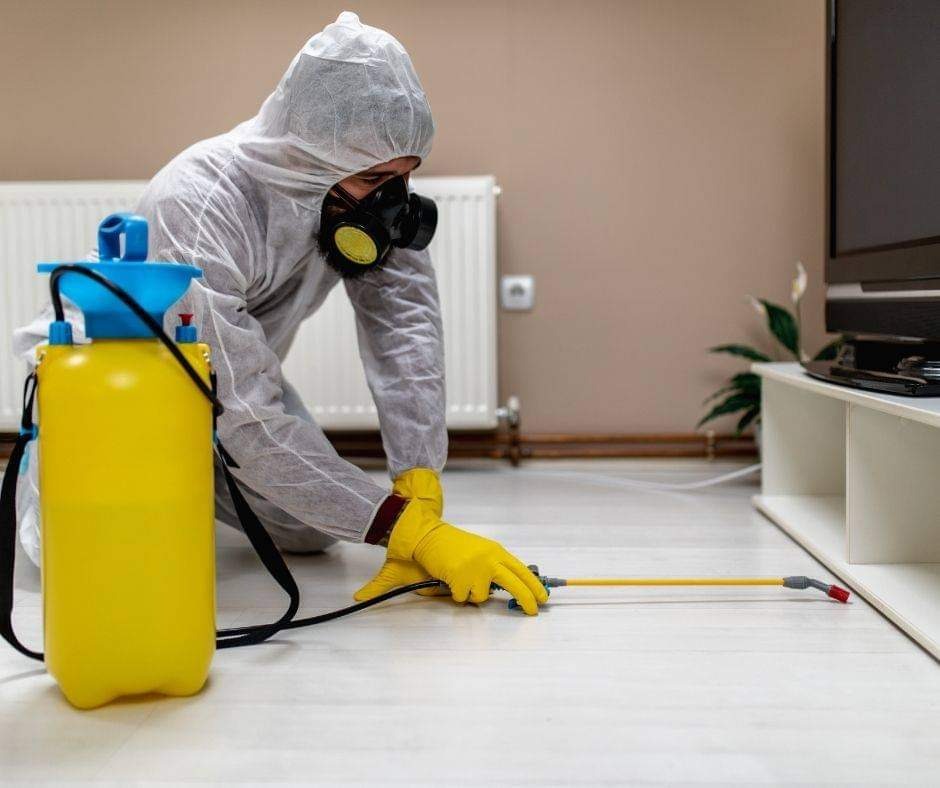 Osoba w kombinezonie ochronnym i masce, w Chełmie, opryskuje podłogę w pomieszczeniu z użyciem żółtego opryskiwacza ciśnieniowego.