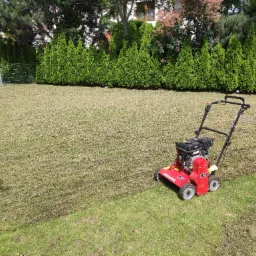 Czerwony wertykulator spalinowy marki Weibang na trawniku po wertykulacji, widoczne ślady nacięć w darni, w tle rząd tuj i ogrodzenie z siatki.