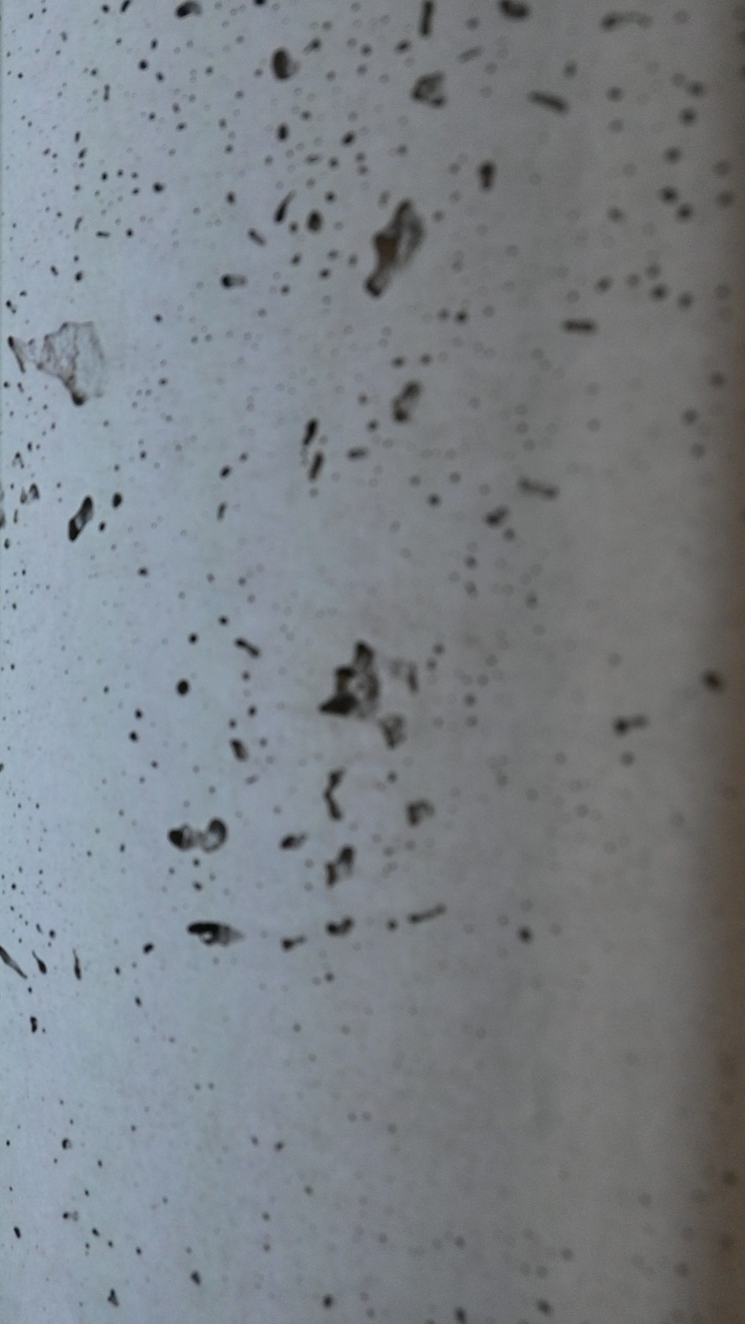 Szare tło z ciemnymi, nieregularnymi plamkami i smugami, przypominające efekt rozprysku lub zabrudzenia na powierzchni. Niejednolita faktura i rozproszone światło.