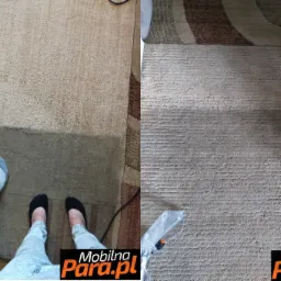 Czteropanelowe zdjęcie przedstawiające etapy czyszczenia beżowego dywanu: spryskiwanie środkiem czyszczącym, widoczne stopy w skarpetkach i jeansach, odkurzanie dywanu specjalistycznym sprzętem.