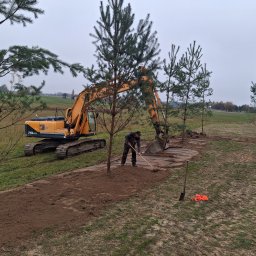 Trans-Kop Bartłomiej Kamiński - Żółty koparka Hyundai 210LC-9 w trakcie sadzenia młodych drzewek iglastych, pracownik wyrównuje ziemię wokół drzewka grabiami, w tle rozległe pole i pochmurne niebo.