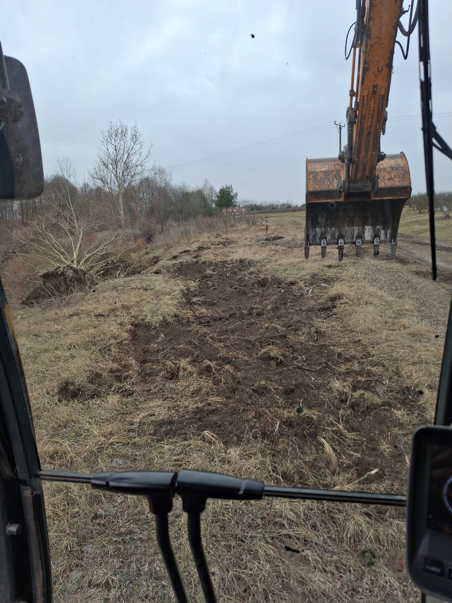 Widok z kabiny koparki na teren z wykarczowanymi drzewami i przygotowywanym gruntem pod budowę, widoczny fragment łyżki koparki i zarośnięty teren w pochmurny dzień.