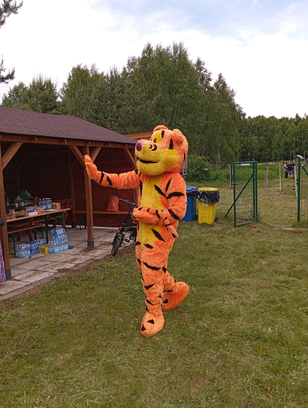 Witanie się z gościmi w roli Tygrysa