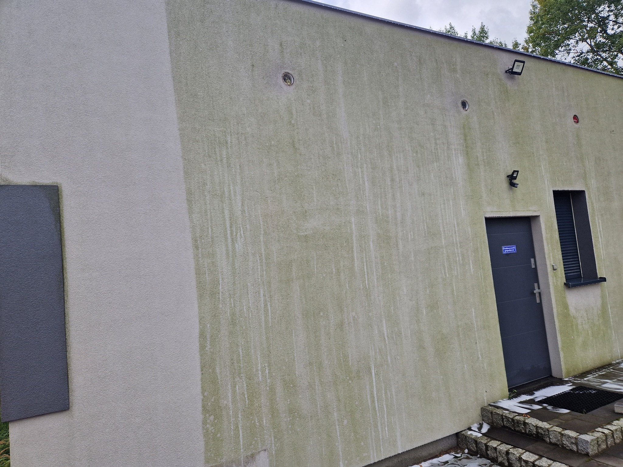 Zewnętrzna ściana budynku z widocznymi śladami zabrudzeń i zacieków, częściowo pokryta zielonym nalotem, z szarą stolarką okienną i wejściową, oświetlona zewnętrznymi lampami.