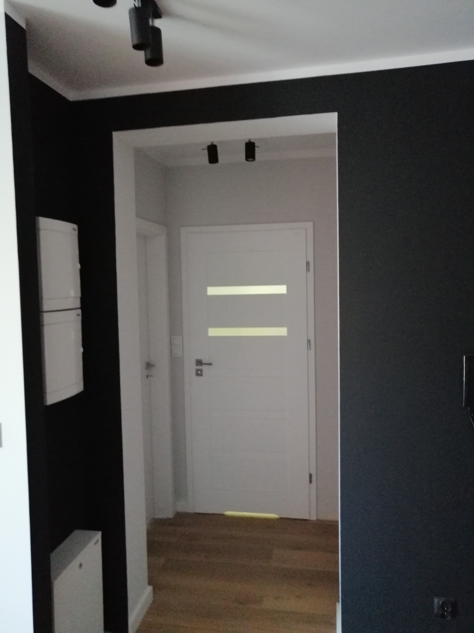 Nowoczesne wnętrze: czarna ściana kontrastuje z białą stolarką drzwiową i podłogą z naturalnego drewna, oświetlenie punktowe na suficie.