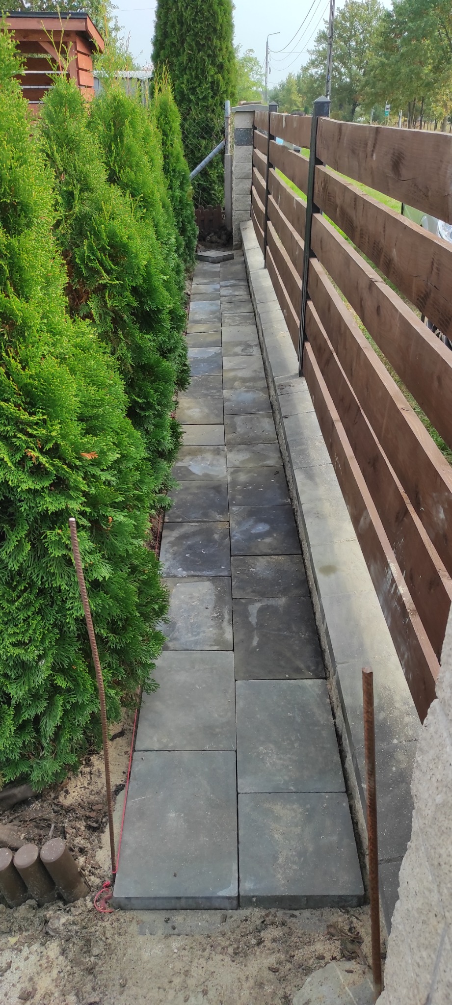 Świeżo ułożony chodnik z szarych kostek brukowych pomiędzy rzędem tuj i drewnianym płotem w trakcie realizacji, widoczne pręty zbrojeniowe i sznurek wyznaczający linię brzegową.