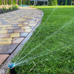 Darnika Monika Andrzejczak - Automatyczny system nawadniania trawnika zraszaczem obrotowym, widoczny fragment ścieżki z kostki brukowej i zadbana trawa w ogrodzie przydomowym.