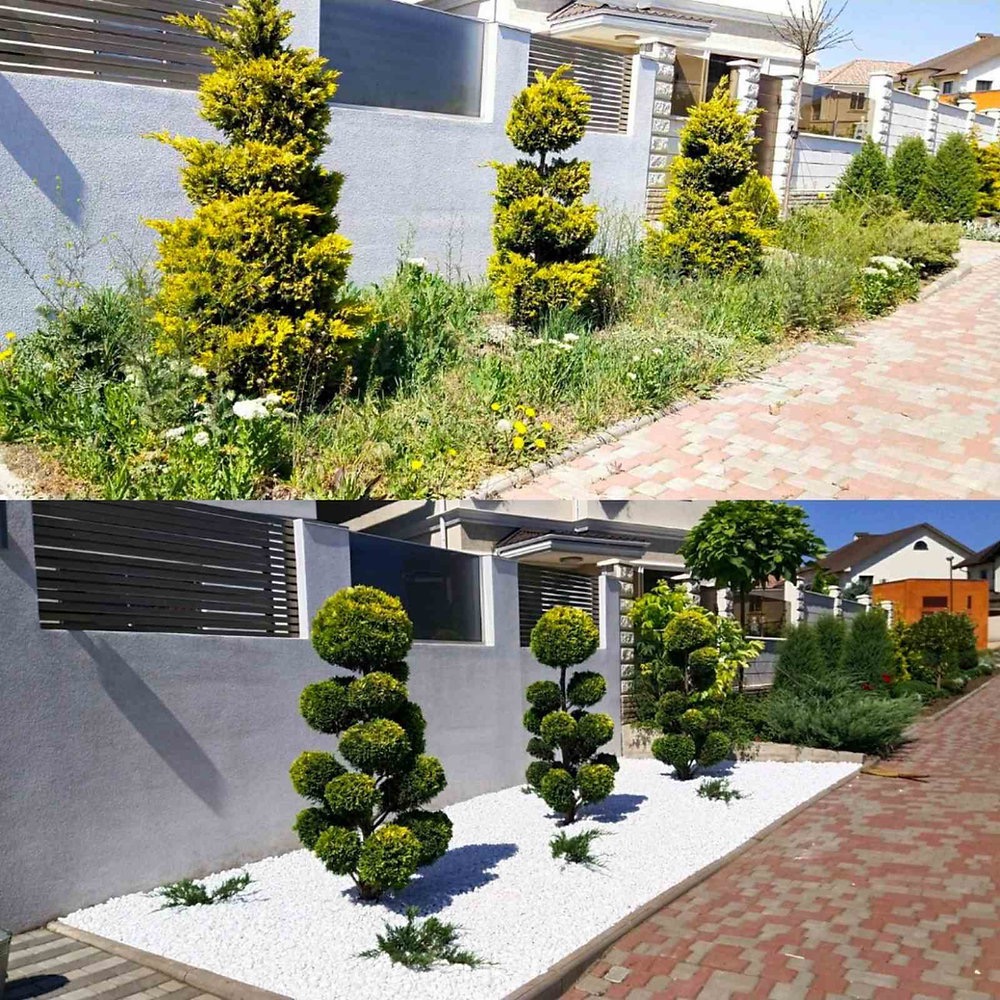 Dwa ujęcia ogrodu przed domem: górne z żółtymi formowanymi iglakami i dziką roślinnością, dolne z zielonymi formowanymi krzewami na białym żwirze, oba z chodnikiem z czerwonej kostki.