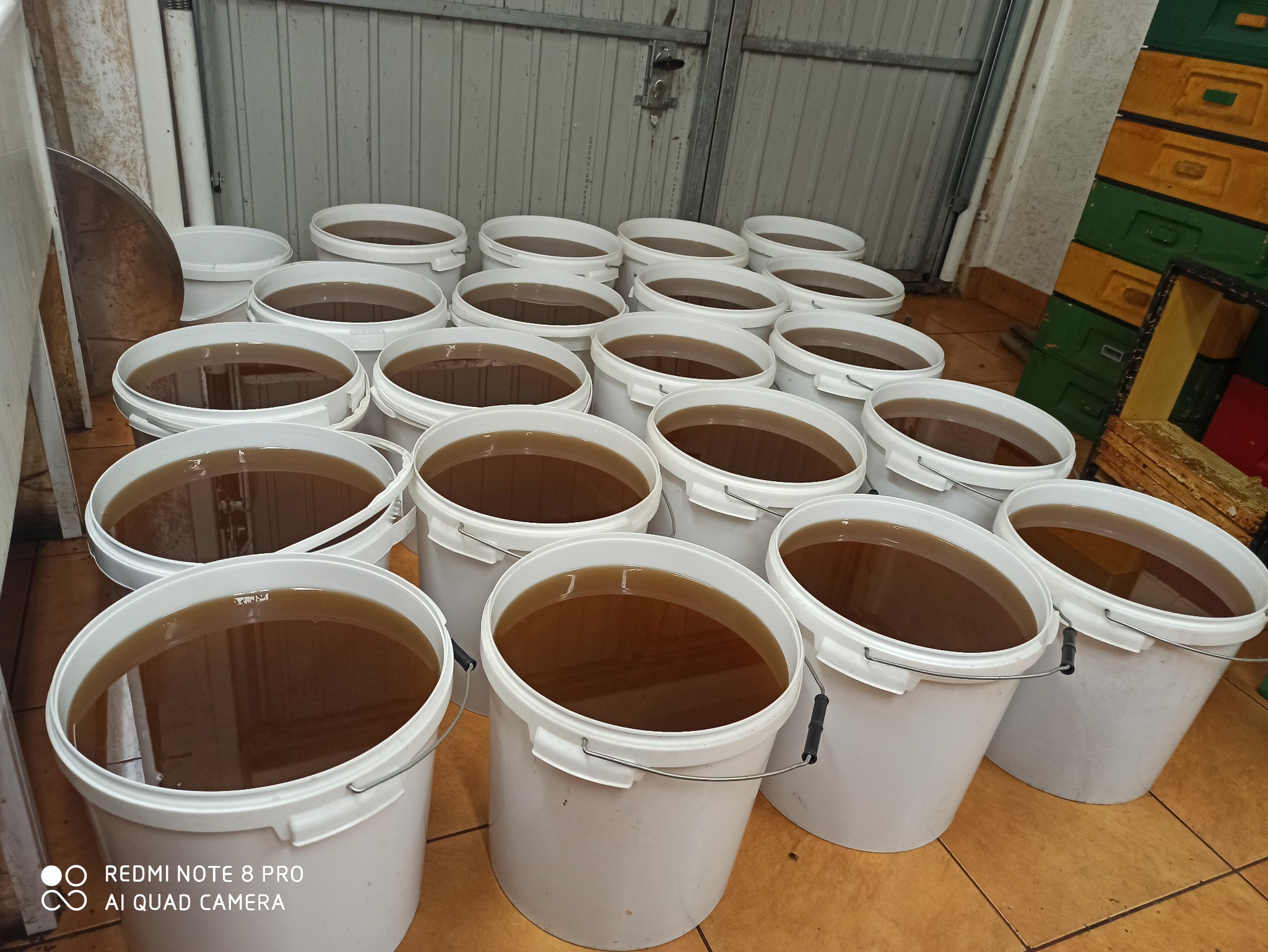 Wiele białych wiader wypełnionych świeżym, brązowym miodem w magazynie, w tle ul pszczeli.