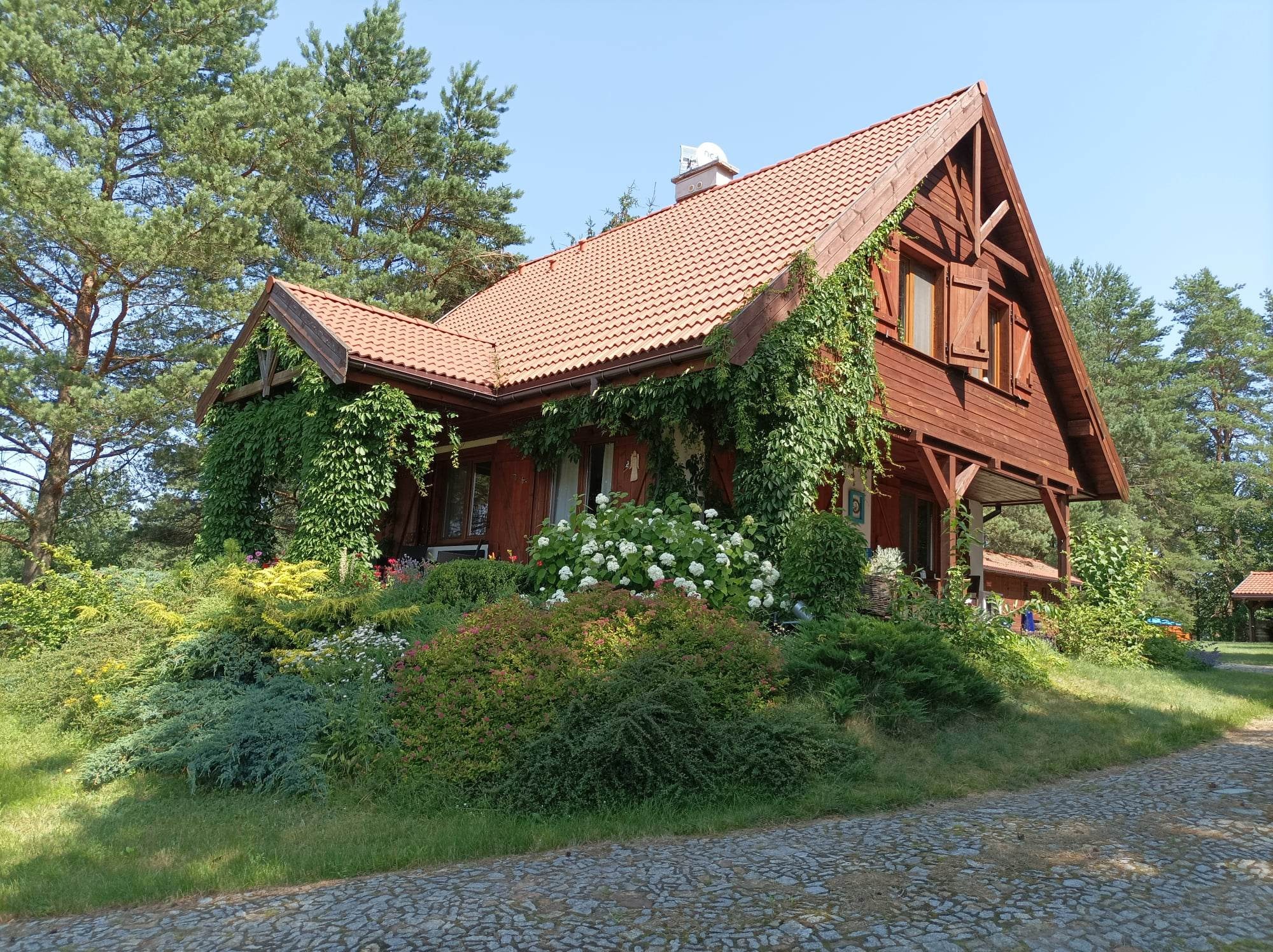 Drewniany dom z czerwoną dachówką, porośnięty bluszczem, otoczony bujną zielenią ogrodu z kwitnącymi hortensjami i ścieżką z kostki brukowej.