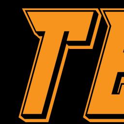 Teneline Sp. z o.o. - Transport Dostawczy Poznań