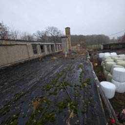 Dachy STEFANIAK - Zniszczony dach budynku gospodarczego pokryty mchem, z widocznym kominem i stertą bel słomy w tle. Na dachu leżą liście. Widoczna drabina oparta o krawędź dachu.
