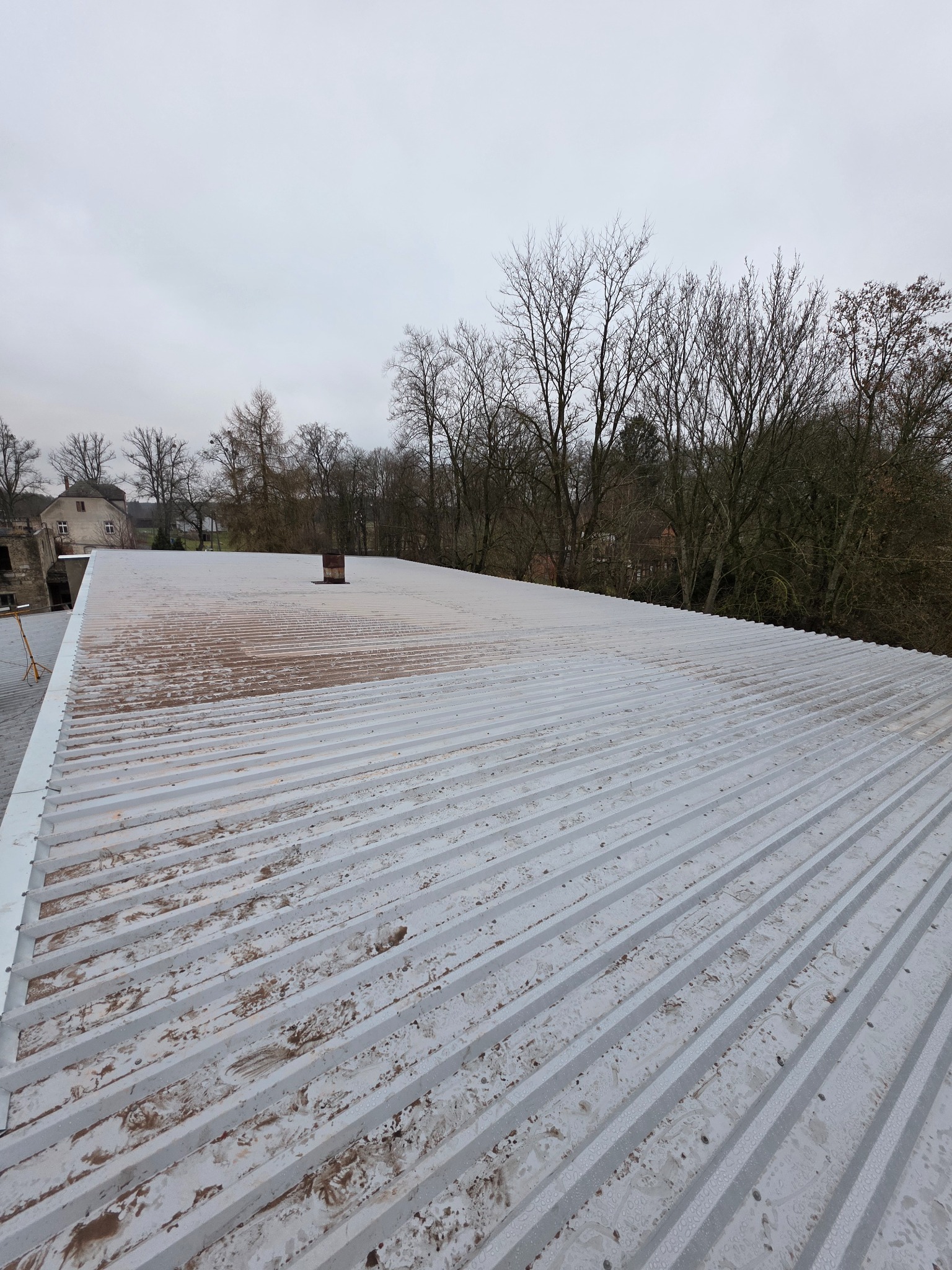 Szary, blaszany dach z widocznymi śladami zabrudzeń i rdzawym kominem na tle drzew i pochmurnego nieba. Ujęcie z góry, ukazujące strukturę blachy falistej.