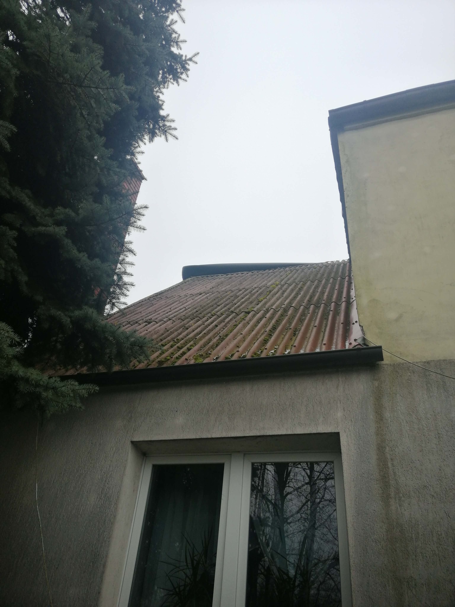 Falista, rdzawa dachówka z mchem, widoczna z dołu, z fragmentem ściany budynku i iglastego drzewa. Pochmurne niebo w tle.