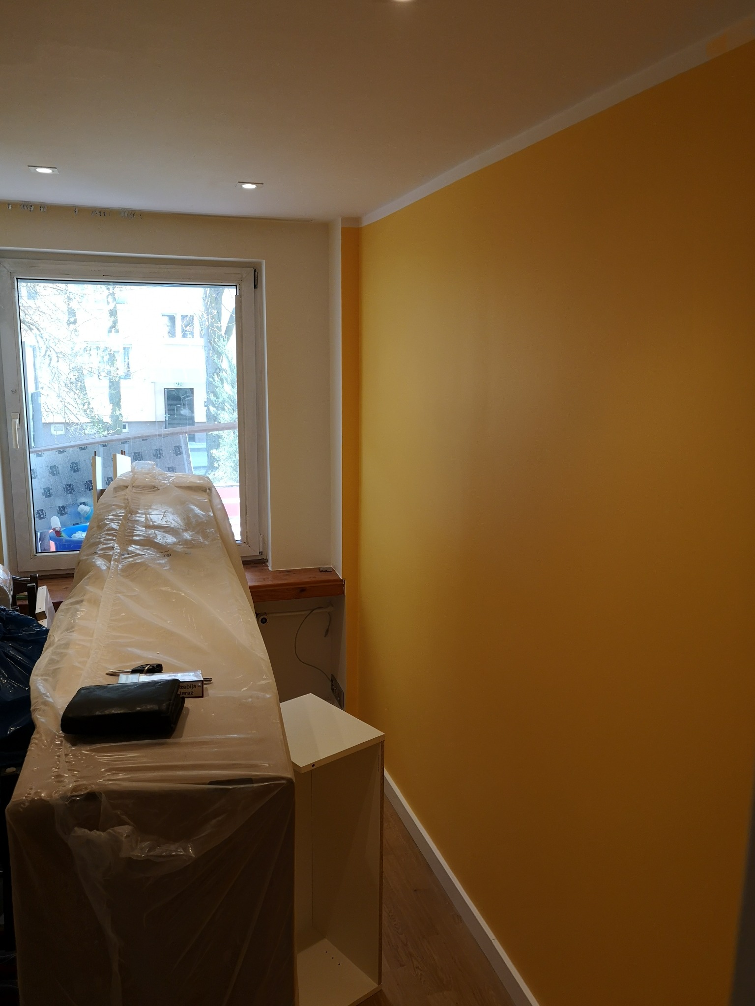 Świeżo pomalowana ściana w odcieniach złota z widocznym białym pasem sufitowym, meble zabezpieczone folią malarską, okno z widokiem na drzewa.