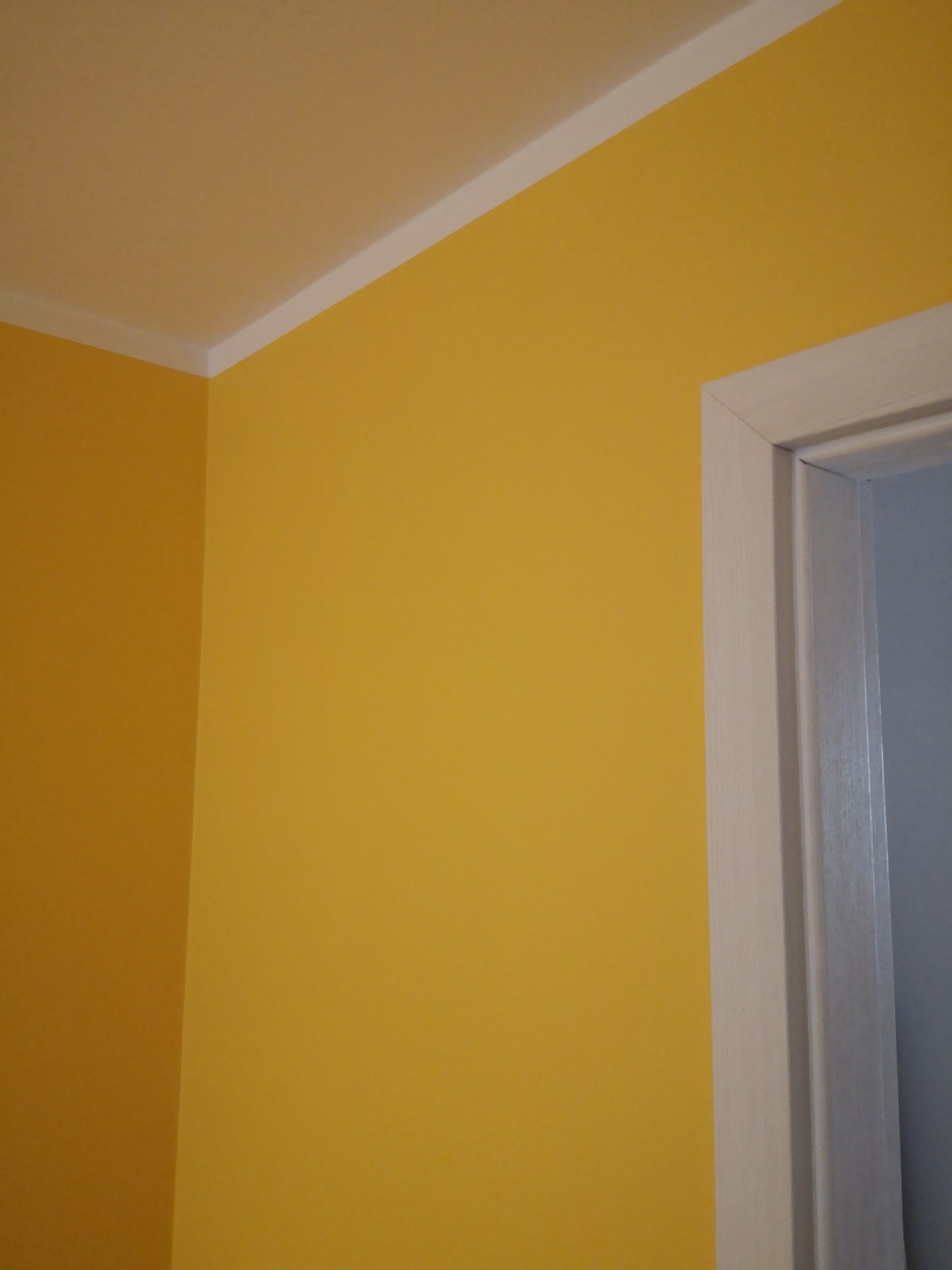 Żółta ściana po świeżym pomalowaniu, widoczny biały sufit z listwą oraz fragment białej ościeżnicy drzwi.