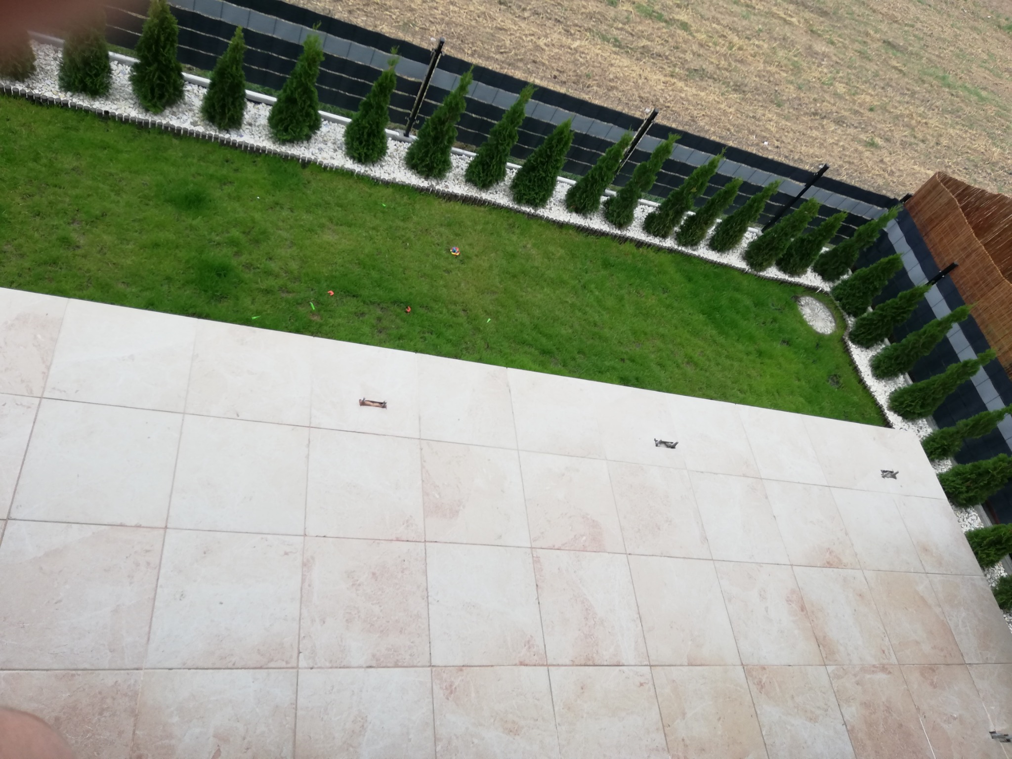 Widok z góry na taras z jasnych, kwadratowych płytek, z zielonym trawnikiem otoczonym rzędem małych, stożkowych drzewek i białym żwirem w tle.