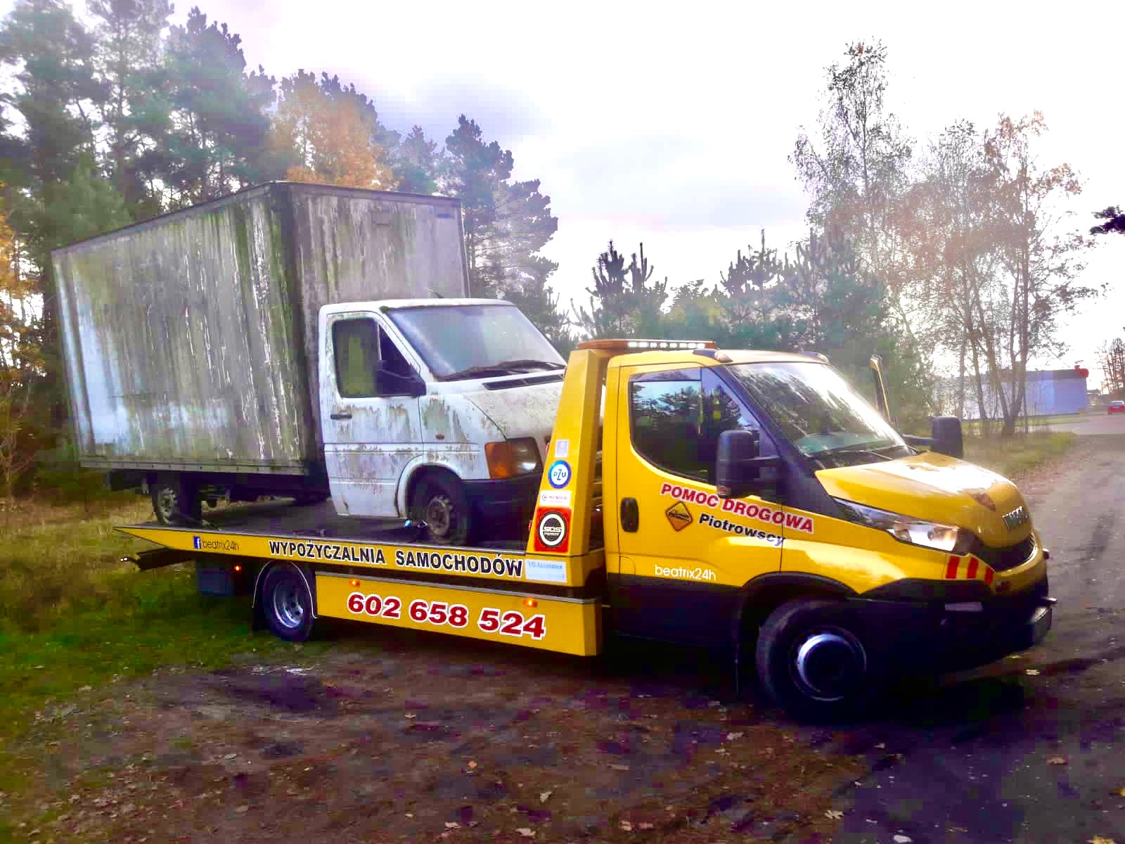 Transport busów 24 H