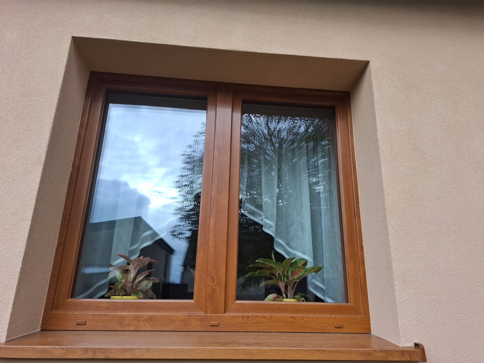 Dwuskrzydłowe okno z brązową ramą, widok z zewnątrz. Na parapecie doniczki z roślinami. W szybach odbija się niebo i zieleń drzew.