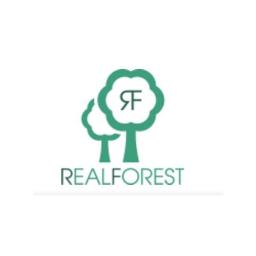 Realforest.pl - wyjątkowe drewniane zegarki i dekoracje - Paczki Mikołajkowe Dla Dzieci Borzytuchom