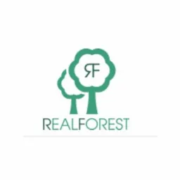 Logo firmy RealForest przedstawiające dwa stylizowane drzewa w odcieniach zieleni, z inicjałami 'RF' w większym drzewie.