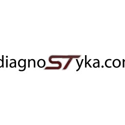 DIAGNOSTYKA.COM KAMIL BŁACHNIO - Usługi Warsztatowe Zabrze