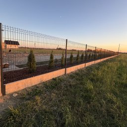 WIKO-MET - Długie, nowoczesne ogrodzenie panelowe z podmurówką betonową i nasadzeniami z tuj na tle zachodzącego słońca. Widok z zewnątrz posesji, w oddali dom.