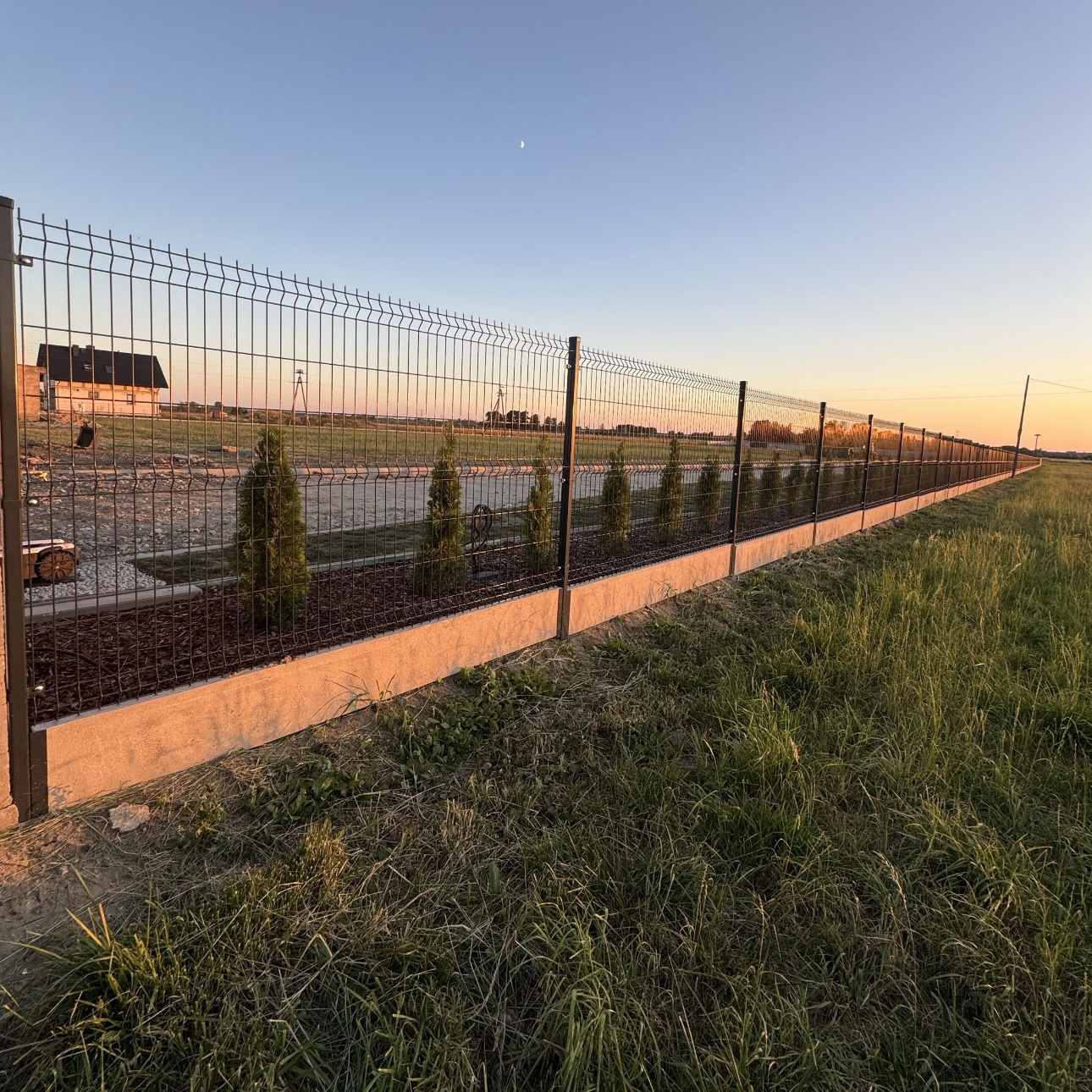 Długie, nowoczesne ogrodzenie panelowe z podmurówką betonową i nasadzeniami z tuj na tle zachodzącego słońca. Widok z zewnątrz posesji, w oddali dom.