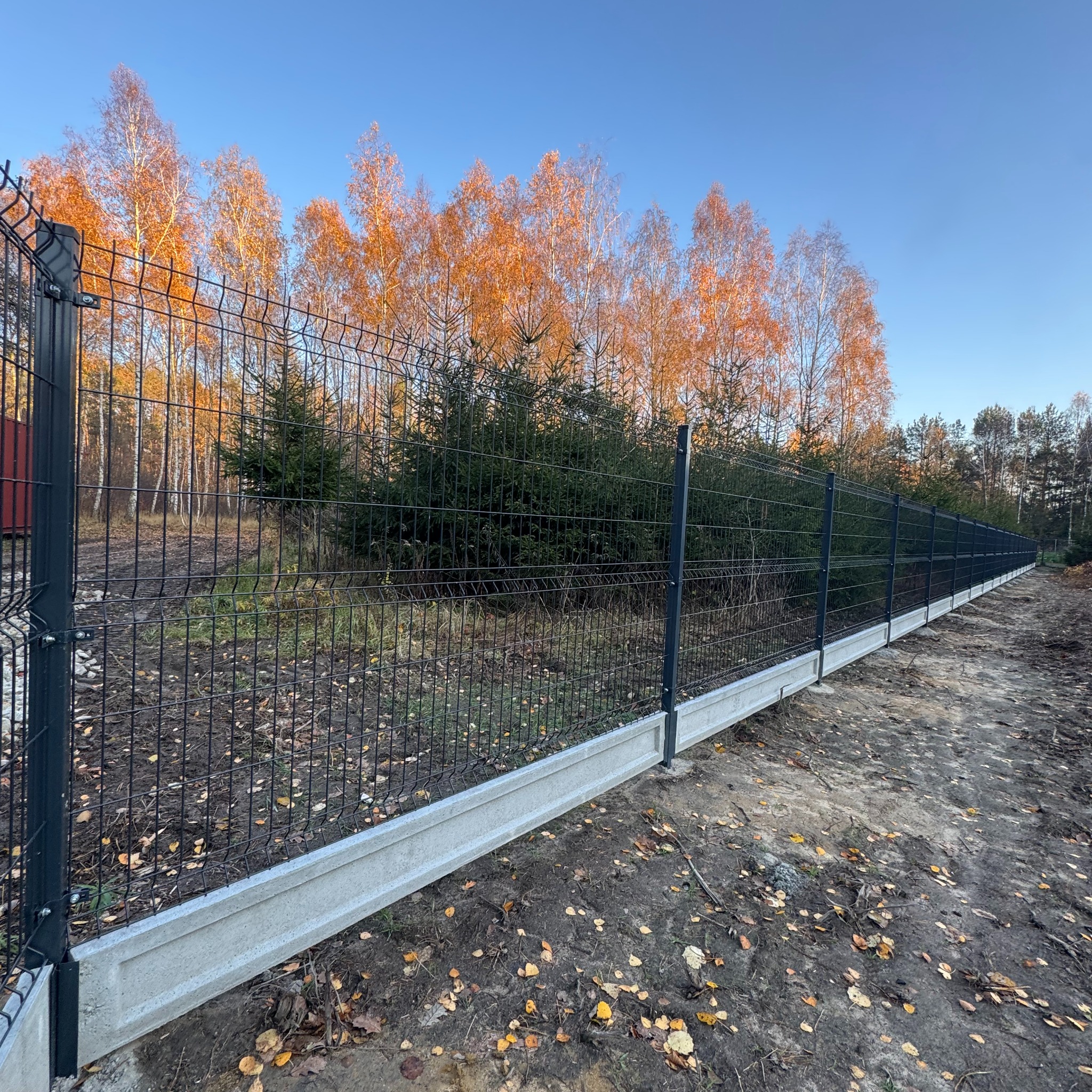 Długi, ciemny panel ogrodzeniowy z podmurówką betonową, ciągnący się wzdłuż działki. W tle drzewa iglaste i liściaste z jesiennymi liśćmi. Błękitne niebo.