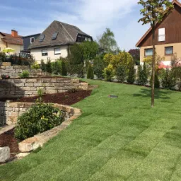 Kaskadowy ogród z kamiennymi murkami oporowymi, świeżo rozłożoną trawą w rolkach i systemem nawadniania, na tle zabudowy mieszkalnej.