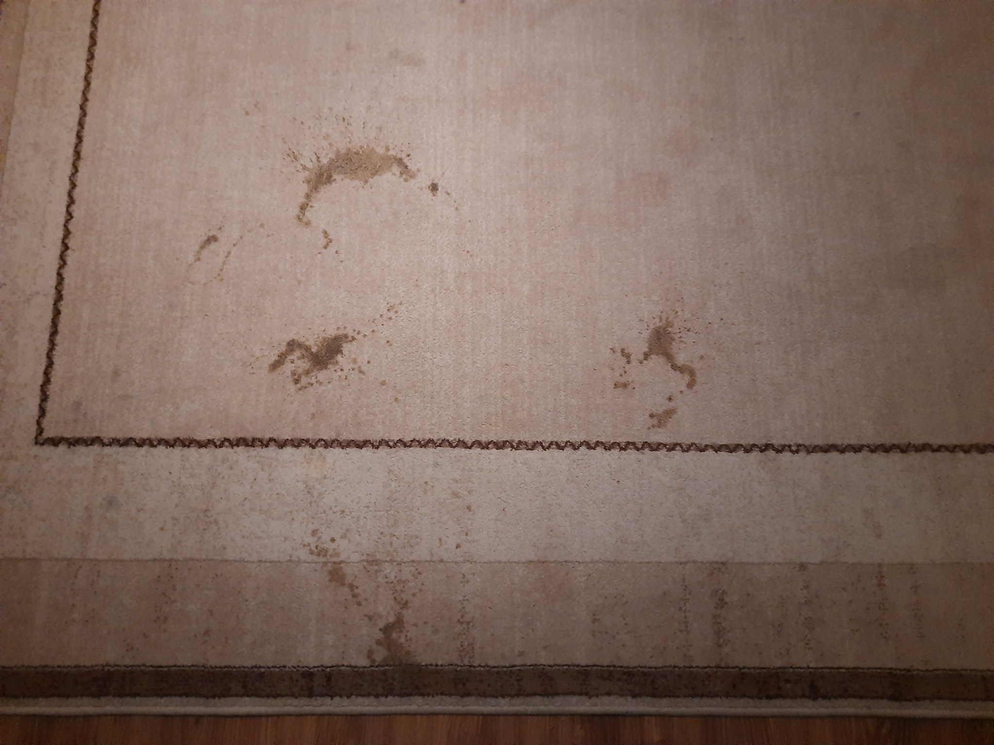 Beżowy dywan z brązowymi plamami na drewnianej podłodze, widoczne z góry.