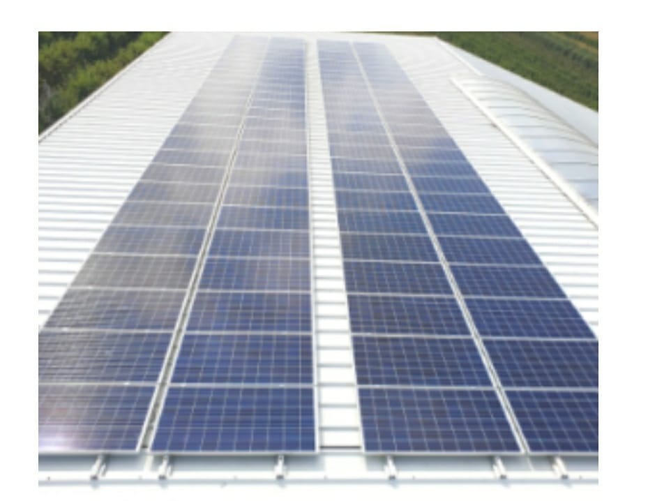 Rzędy paneli słonecznych na falistym, metalowym dachu budynku przemysłowego, widoczne z góry pod kątem, z zielenią w tle.