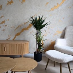 Home Renovations Paweł Pieszak - 