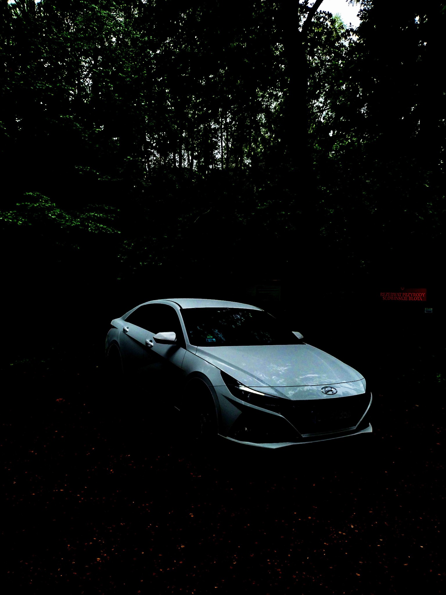 Biały samochód osobowy zaparkowany na skraju ciemnego lasu, widoczny znak rezerwatu przyrody w tle.