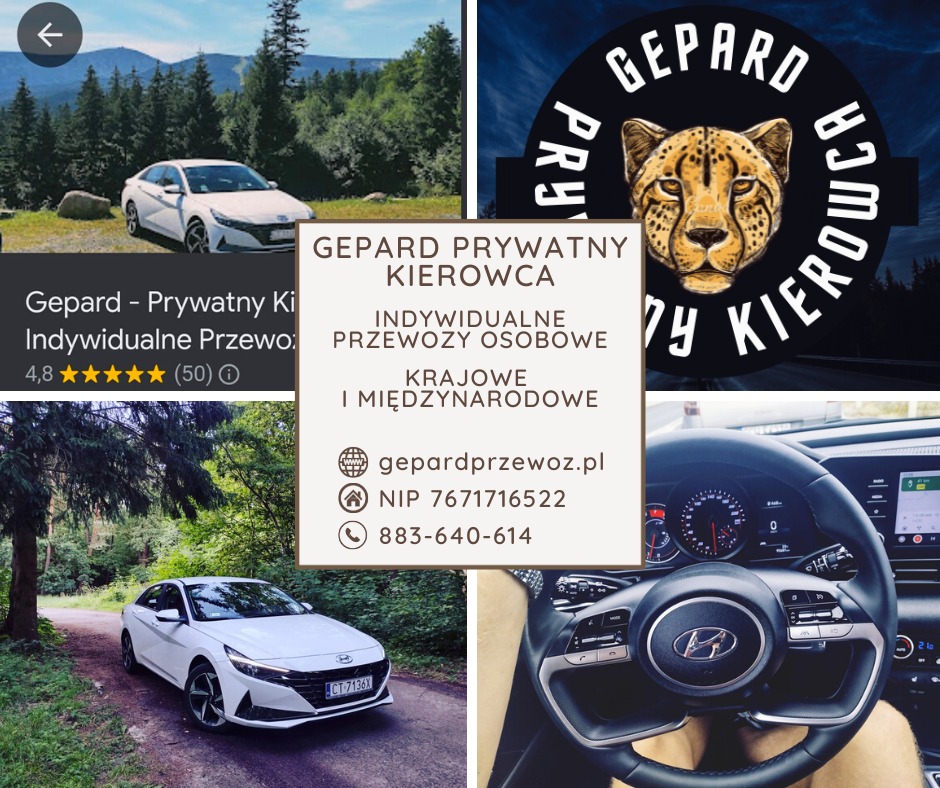 Kolaż: biały samochód osobowy na tle leśnym i górskim, logo firmy Gepard Prywatny Kierowca z głową geparda, kokpit samochodu z widoczną kierownicą i deską rozdzielczą, wizytówka firmy z danymi...