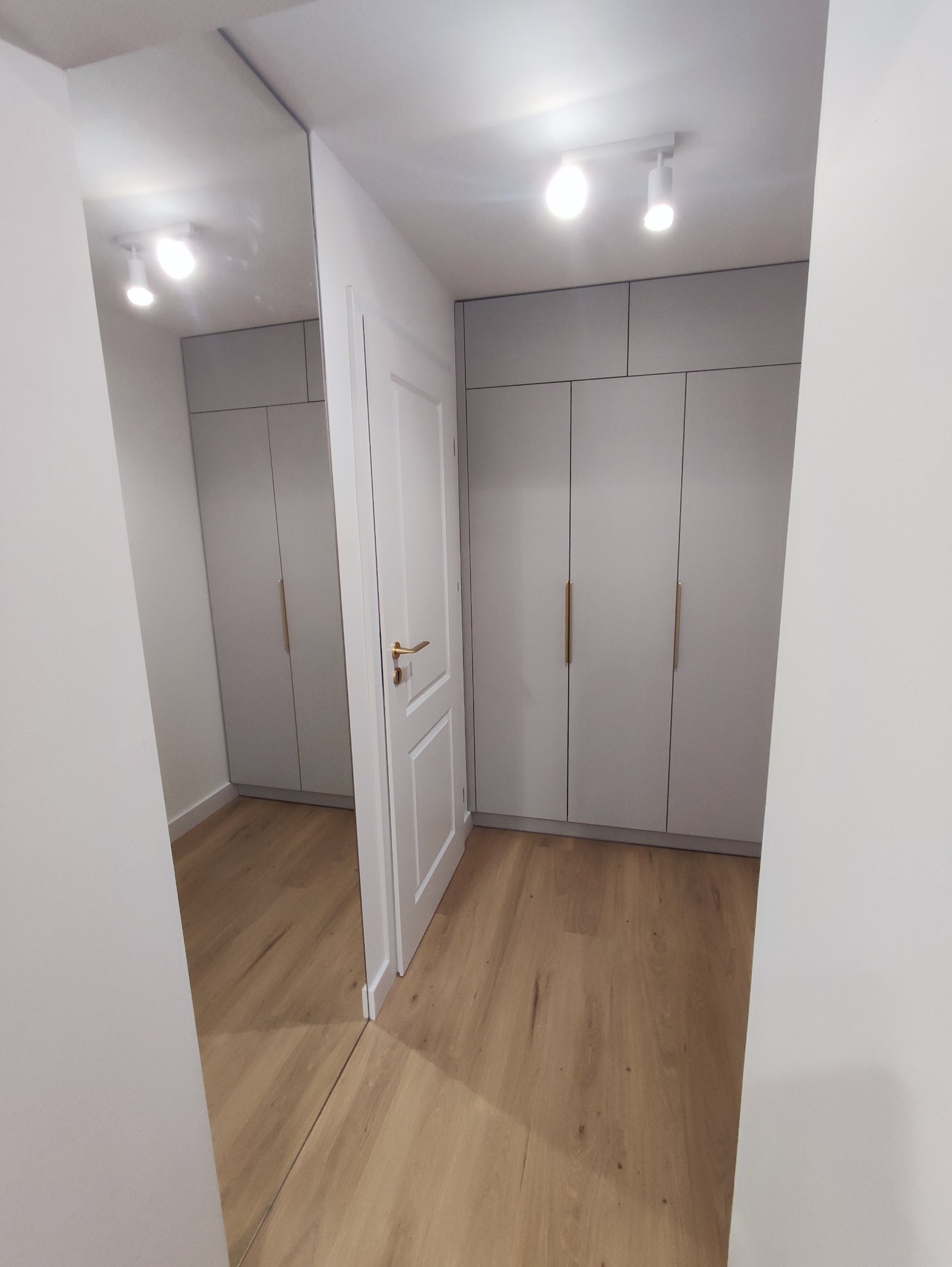 Drzwi Lustrzane do Pralni i Szafa Wnękowa