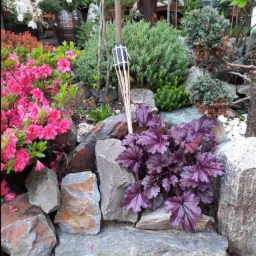 Ogród skalny z różowymi azaliami, purpurową żurawką i kamienną latarnią. W tle widoczne krzewy i beczka z kwiatami.