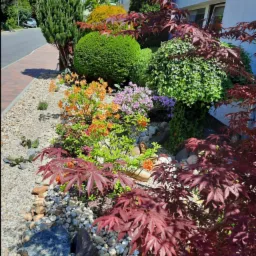 Ogród przydomowy z różnorodną roślinnością: krzewy, drzewa iglaste i liściaste, kwiaty w odcieniach pomarańczy i fioletu, kamienie ozdobne. Słoneczny dzień.