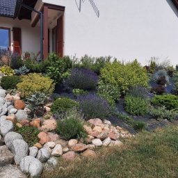 Twój Ogrodnik - Ogród kaskadowy z kamiennymi schodami i różnorodną roślinnością na czarnej macie, przy białym domu z brązowymi okiennicami. Słoneczny dzień.