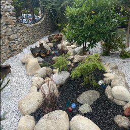 Wycinka drzew Prudnik 4