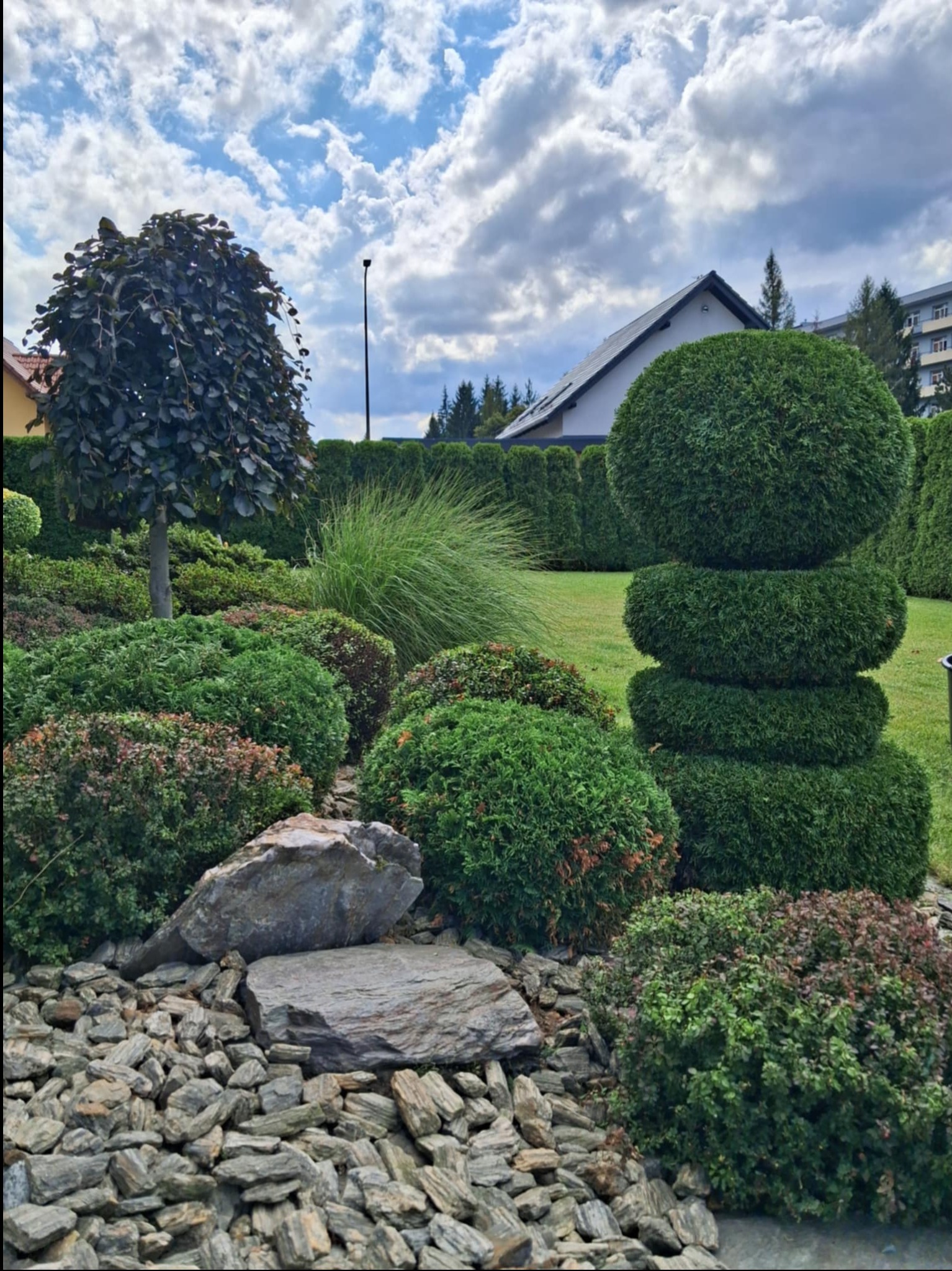 Ogród z formowanymi krzewami, drzewem o ciemnych liściach i kamiennym podsypem. W tle budynek i niebo z chmurami.