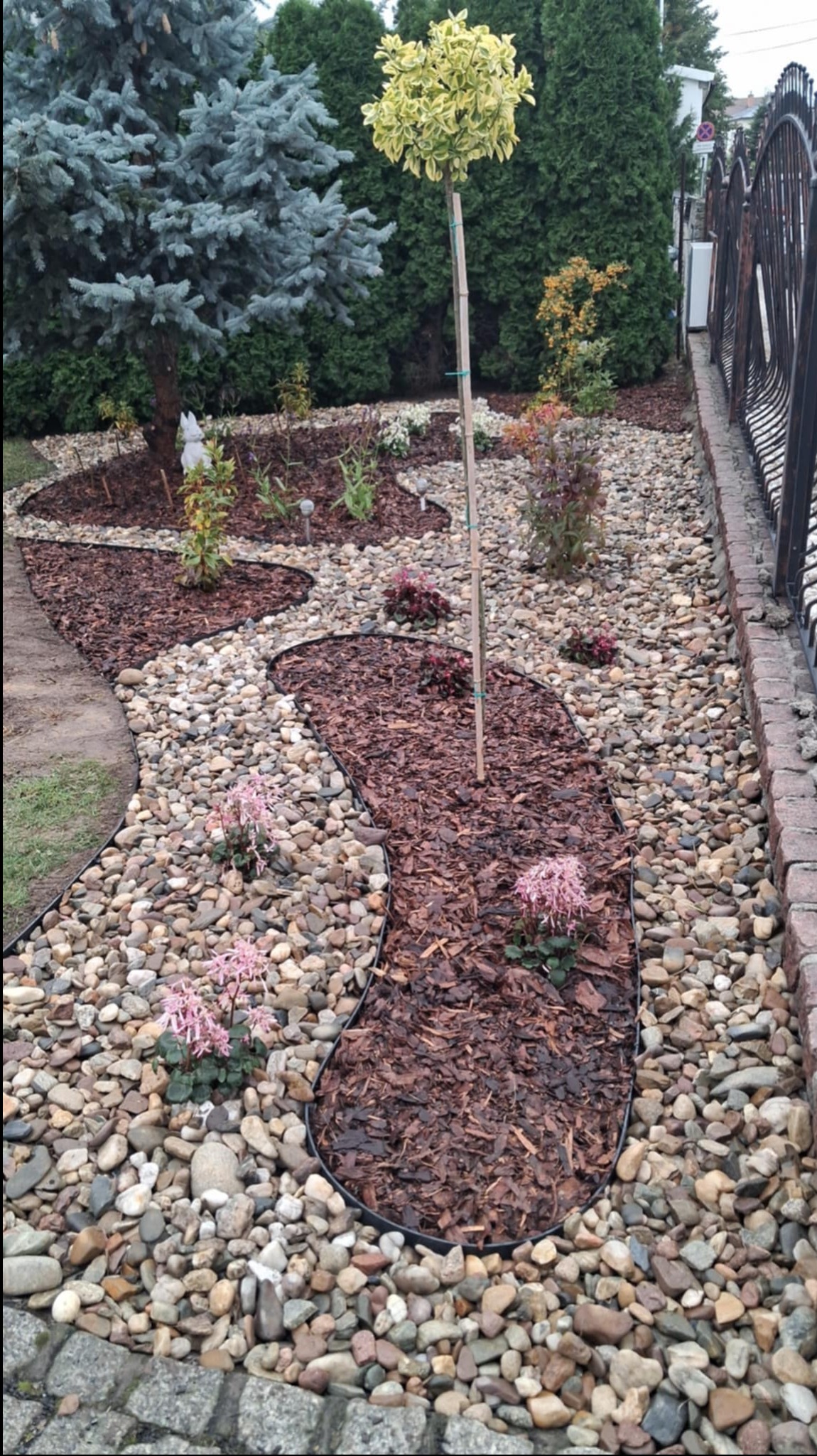 Ogród z kamienną ścieżką i korą, obrzeża z tworzywa. W tle iglaki, drzewo kuliste i metalowe ogrodzenie. Dekoracyjny układ kamieni i roślin.